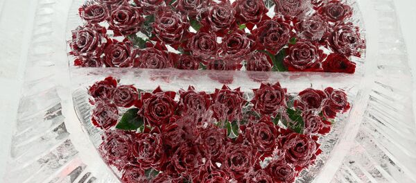 هورمون عشق مانع دقت و هوشیاری میگردد - اسپوتنیک افغانستان  