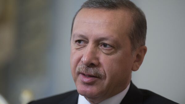 جواب تند اردوغان به تهدیدات امریکا  - اسپوتنیک افغانستان  