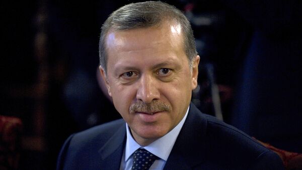 رئیس جمهور ترکیه - اسپوتنیک افغانستان  