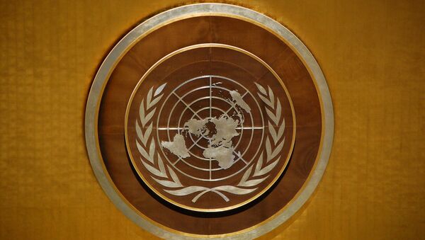 سازمان ملل: امریکا به گزارش‌ها در مورد سوریه توجه ندارد - اسپوتنیک افغانستان  