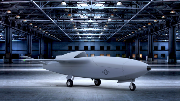 امریکا Skyborg را جایگزین F-16 می کند - اسپوتنیک افغانستان  