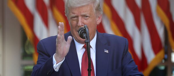 Президент США Дональд Трамп Президент США Дональд Трамп - اسپوتنیک افغانستان