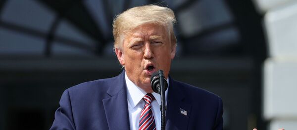 فاش کردن آزمایش هوش ترامپ توسط گوینده فاکس نیوز + ویدیو - اسپوتنیک افغانستان  