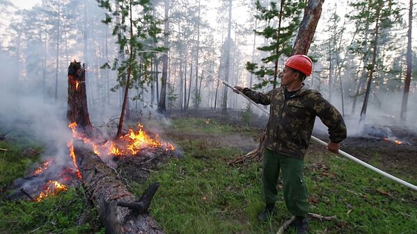 جنگل های سیبری روسیه غرق شعله های آتش / یاکوتیا - اسپوتنیک افغانستان  