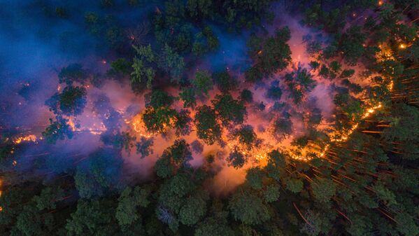 جنگل های سیبری روسیه غرق شعله های آتش / کراسنویارسک - اسپوتنیک افغانستان  