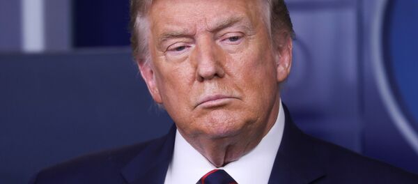 ترامپ پیشنهاد به تعویق انداختن انتخابات ریاست جمهوری امریکا را داد - اسپوتنیک افغانستان  