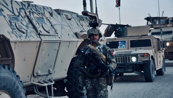 کشته شدن یک فرمانده طالبان همراه با 8 جنگجوی این گروه در ولایت هرات - اسپوتنیک افغانستان  