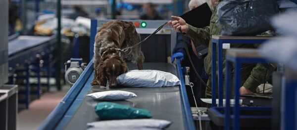 ارسال نامه‌های مرموز از چین به جاپان و امریکا - اسپوتنیک افغانستان  