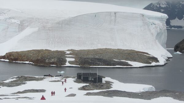 Дом на острове Уинтер в Антарктиде. - اسپوتنیک افغانستان  