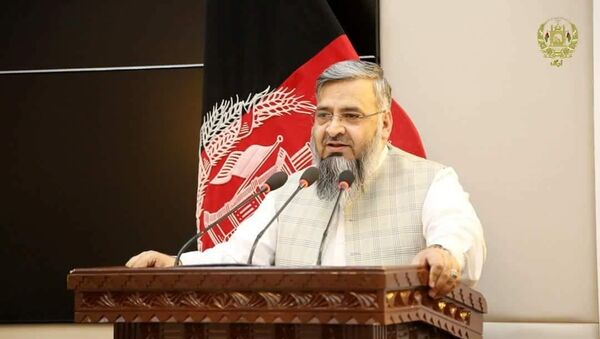 تایید محمد قاسم حلیمی به عنوان وزیر حج و اوقاف - اسپوتنیک افغانستان  