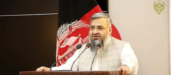 محمد قاسم حلیمی، سرپرست وزارت ارشاد، حج و اوقاف - اسپوتنیک افغانستان  