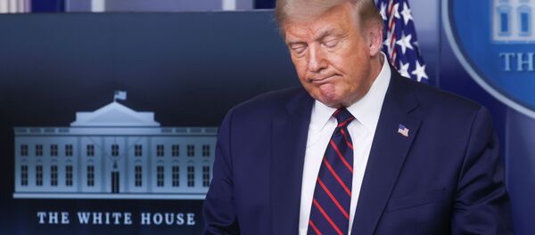 ترامپ: در روابط اقتصادی با چین ما فقط پول های خود را از دست دادهایم ترامپ: در روابط اقتصادی با چین ما فقط پول های خود را از دست دادهایم - اسپوتنیک افغانستان