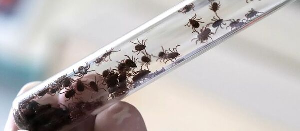 هشدار چین در باره شیوع یک ویروس کشنده جدید هشدار چین در باره شیوع یک ویروس کشنده جدید - اسپوتنیک افغانستان