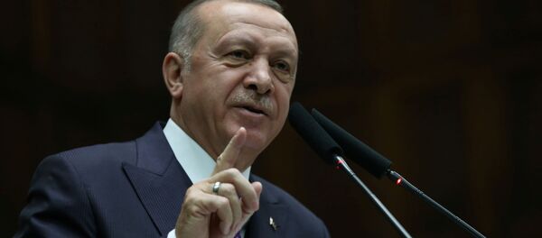 اردوغان: سفیرمان در ابوظبی را خواسته و قطع پیوندهای خود را با امارات بررسی می‌کنیم - اسپوتنیک افغانستان  