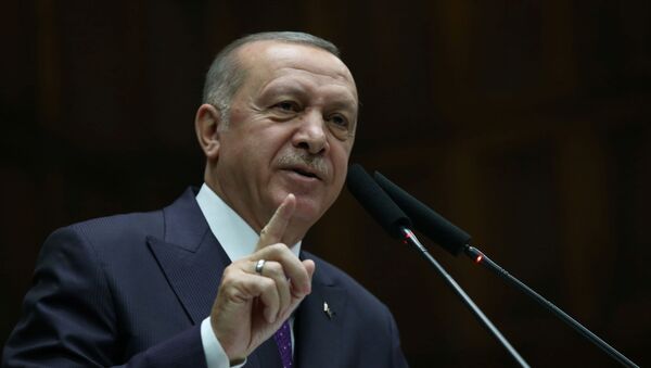 اردوغان: سفیرمان در ابوظبی را خواسته و قطع پیوندهای خود را با امارات بررسی می‌کنیم - اسپوتنیک افغانستان  