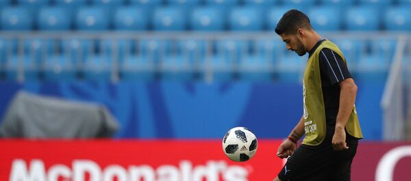 لوئیس سوارز Russia World Cup Uruguay Training لوئیس سوارز Russia World Cup Uruguay Training - اسپوتنیک افغانستان