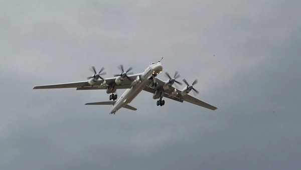 نخستین پرواز بمب افکن جدید Tu-95 انجام شد + ویدیو  - اسپوتنیک افغانستان  