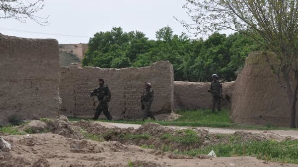 کشته شدن ۲۱ طالب در ولایت فاریاب - اسپوتنیک افغانستان  