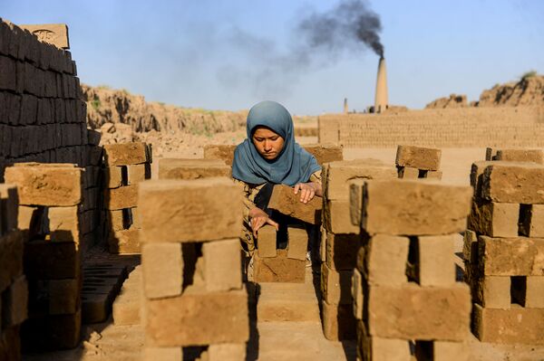 بهترین تصاویر این هفته اسپوتنیک - اسپوتنیک افغانستان  