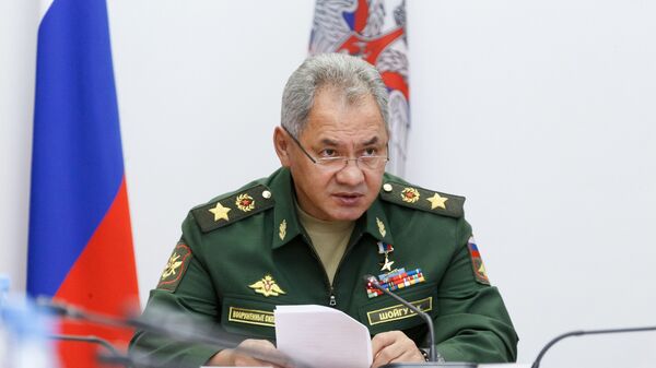 Министр обороны РФ Сергей Шойгу - اسپوتنیک افغانستان  