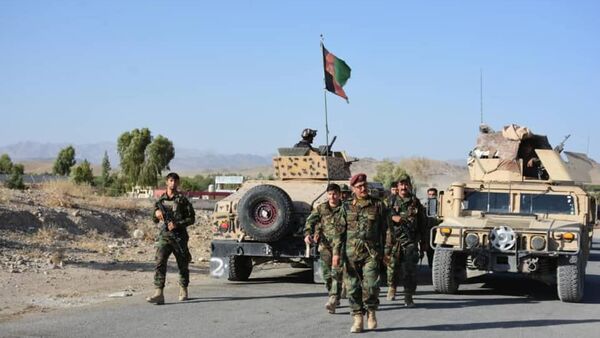 کشته شدن سه جنگجوی طالبان در کندهار - اسپوتنیک افغانستان  