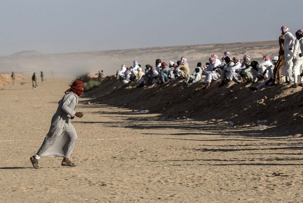 مسابقات شتر سواری در بیابان های مصر - اسپوتنیک افغانستان  
