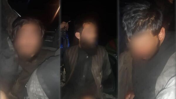 بازداشت سه تروریست در شهر کابل  - اسپوتنیک افغانستان  