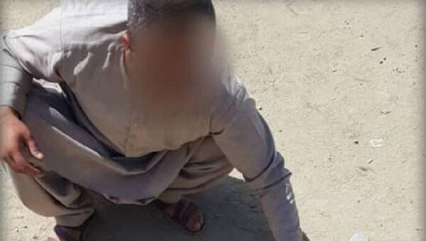 بازداشت یک تروریست در کابل  - اسپوتنیک افغانستان  