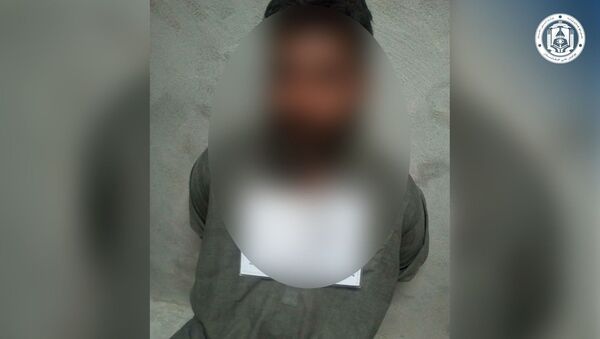 کشته شدن یک عضو کلیدی گروه طالبان در بلخ - اسپوتنیک افغانستان  