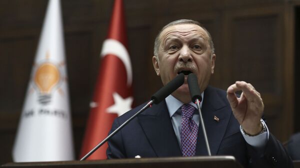 طیب اردوغان رئیس جمهور ترکیه  - اسپوتنیک افغانستان  
