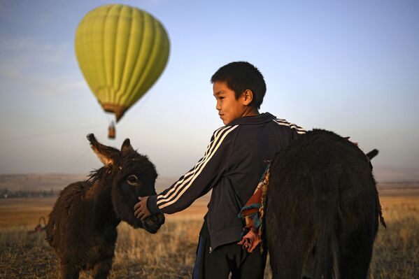 بچیه‌ای با حیوانات در بشکک. - اسپوتنیک افغانستان  