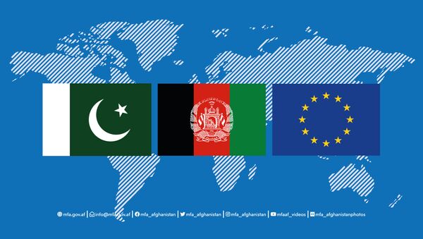 دولت افغانستان از بیانیه مشترک اتحادیه اروپا-پاکستان در مورد افغانستان استقبال کرد - اسپوتنیک افغانستان  