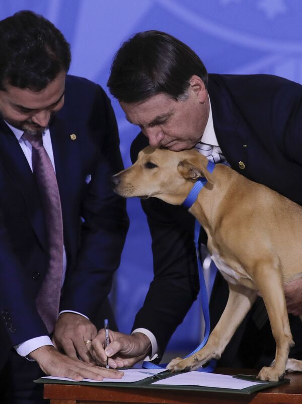 رئیس جمهور برزیل با سگش در حال امضای قانون - اسپوتنیک افغانستان  