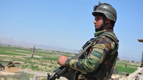 کشته شدن 97 جنگجوی طالبان در کندهار  - اسپوتنیک افغانستان  