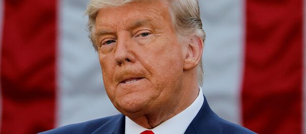 ترامپ به‌عنوان بازنده سال 2020 معرفی شد - اسپوتنیک افغانستان  