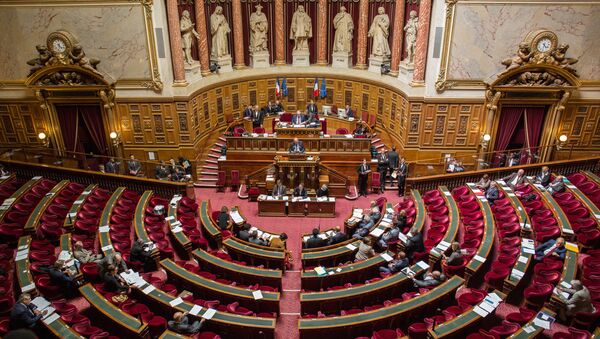 مجلس سنای فرانسه خواستار به رسمیت شناختن قره‌باغ شد - اسپوتنیک افغانستان  