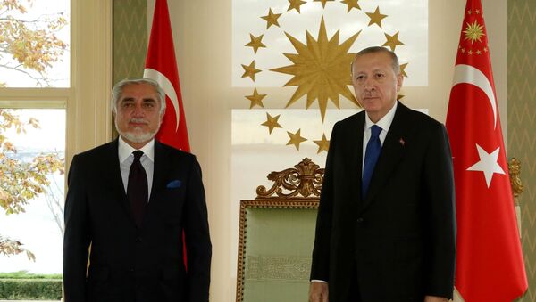 اردوغان: در کنارمردم افغانستان هستیم و از تلاش های صلح این‌کشور حمایت می‌کنیم - اسپوتنیک افغانستان  