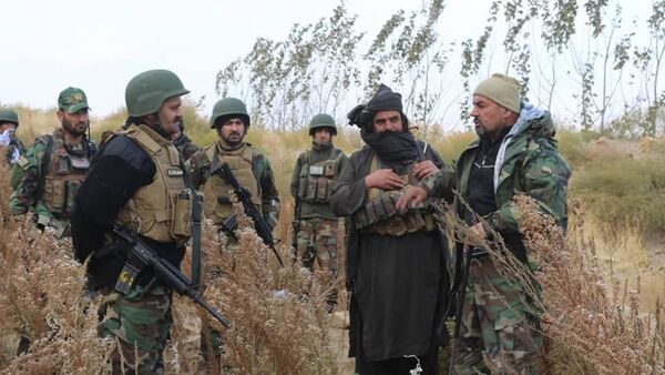 کشته شدن ۵۶ جنگجوی طالبان در هرات  - اسپوتنیک افغانستان  