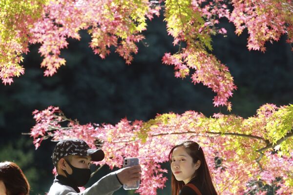  جوانان هنگام عکاسی در زیر درختان پاییزی جاپان  - اسپوتنیک افغانستان  