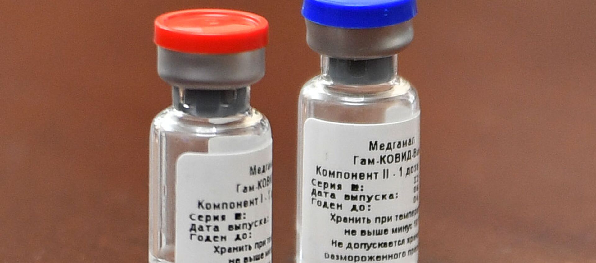 آلمان از خواستار تهیه واکسین اسپوتنیک وی روسی شد - اسپوتنیک افغانستان  , 1920, 25.03.2021