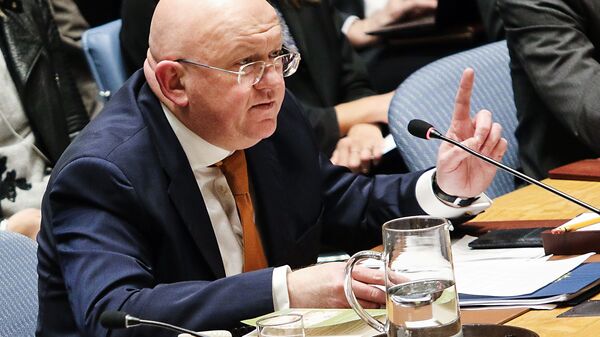 Russia's Permanent Representative to the United Nations Vasily Nebenzya speaks at an open meeting of the UN Security Council in New York - اسپوتنیک افغانستان  