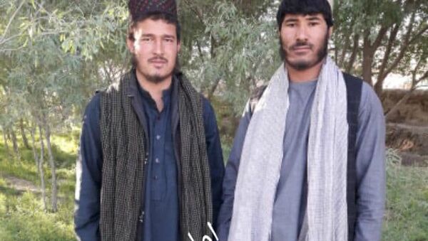 ارتش ولسوال نام‌نهاد طالبان در ولسوالی آبکمری را ازبین برد - اسپوتنیک افغانستان  