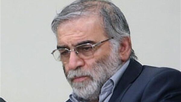 محسن فخری زاده، دانشمند رده بالای حوزه هسته‌ای و موشکی ایران  - اسپوتنیک افغانستان  