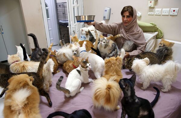 مریم البلوشی ساکن مسقط عمان با 480 گربه و 12 سگ.
 - اسپوتنیک افغانستان  