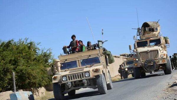 کشته و زخمی شدن 15 طالب مسلح در دهراود ولایت ارزگان  - اسپوتنیک افغانستان  