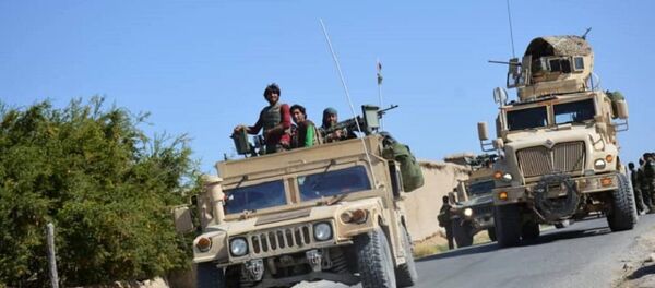 کشته و زخمی شدن 15 طالب مسلح در دهراود ولایت ارزگان  - اسپوتنیک افغانستان  