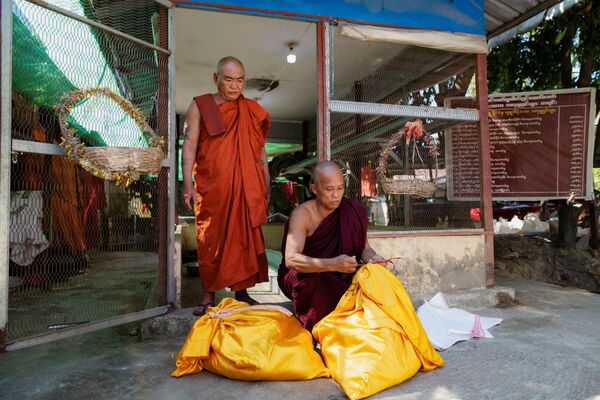 نگهداری جالب راهبان بودایی از مارها در میانمار - اسپوتنیک افغانستان  
