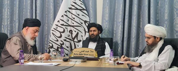 ملا برادر موانع در راه صلح را اعلام کرد - اسپوتنیک افغانستان  