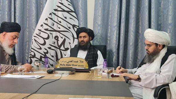 ملا برادر موانع در راه صلح را اعلام کرد - اسپوتنیک افغانستان  