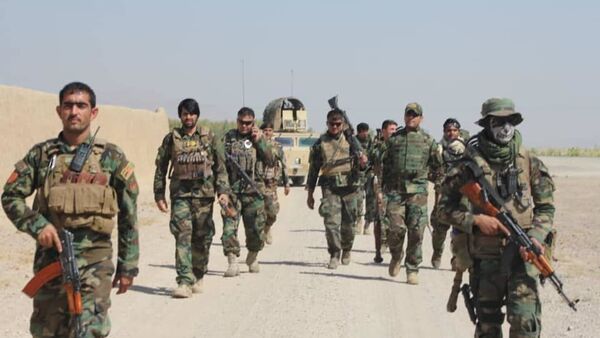 کشته شدن 48 جنگجوی طالبان در کندهار - اسپوتنیک افغانستان  